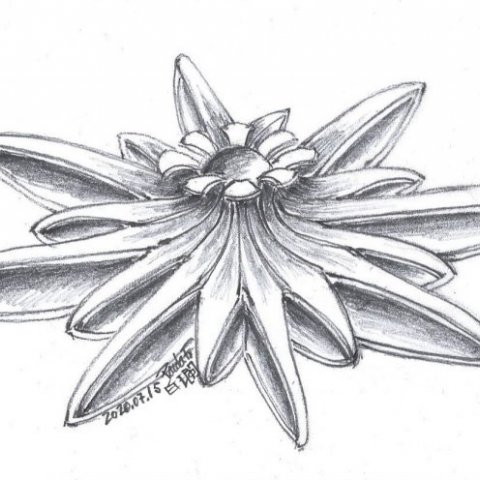 Esquisso do Pendente Shining Star